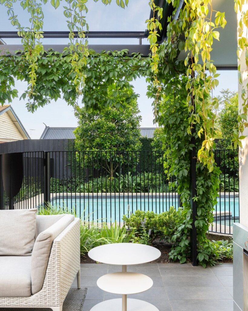 Green climbing vines growing over a black metal pergola overlooking a swimming pool and patio.